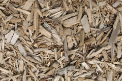 biomass boilers Rhydymwyn